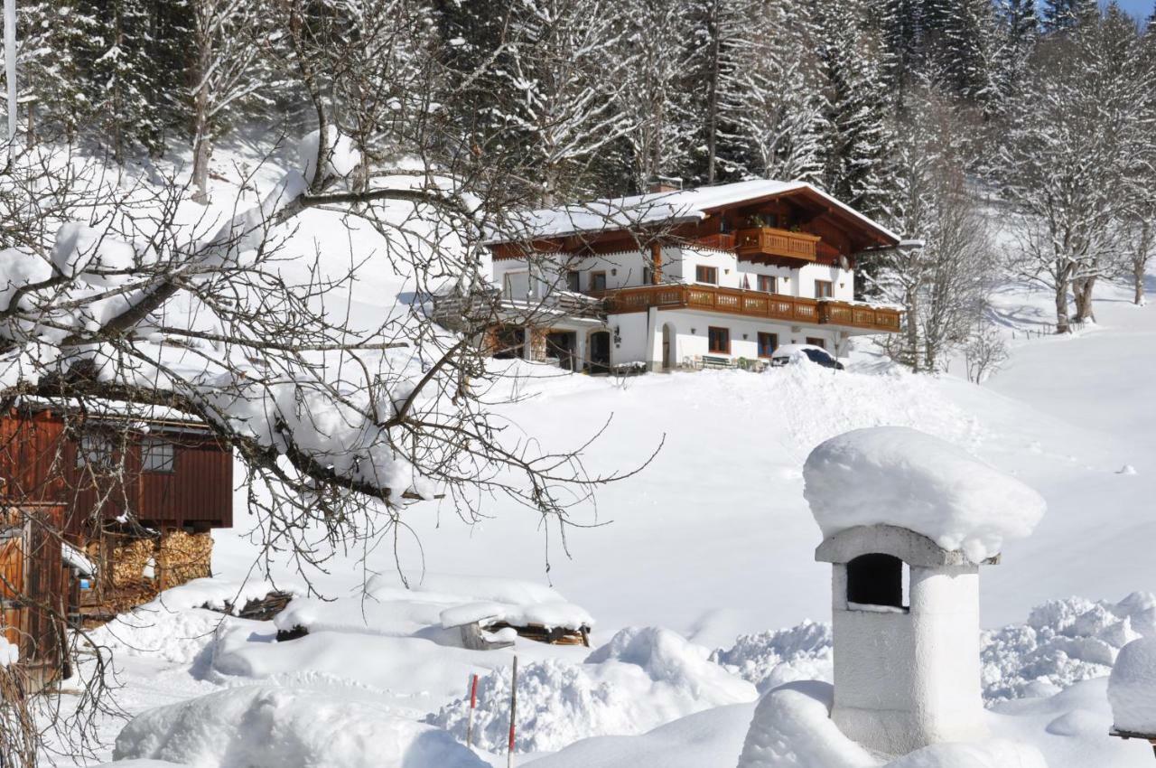 Gaestehaus Erle Ramsau am Dachstein Dış mekan fotoğraf